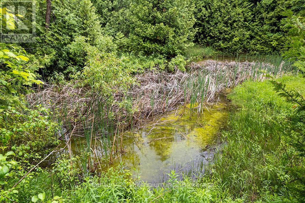 245650 22 SIDE ROAD - 48