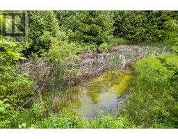245650 22 Side Road, Meaford, ON N4L0A7 Photo 48