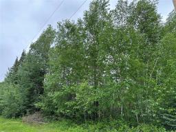 1 Evergreen Road, Victoria Beach, MB R0E2C0 Photo 6