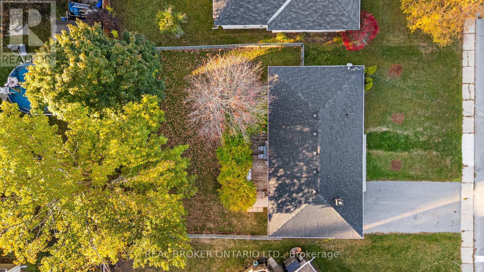 12 FLORENCE STREET - Image 40