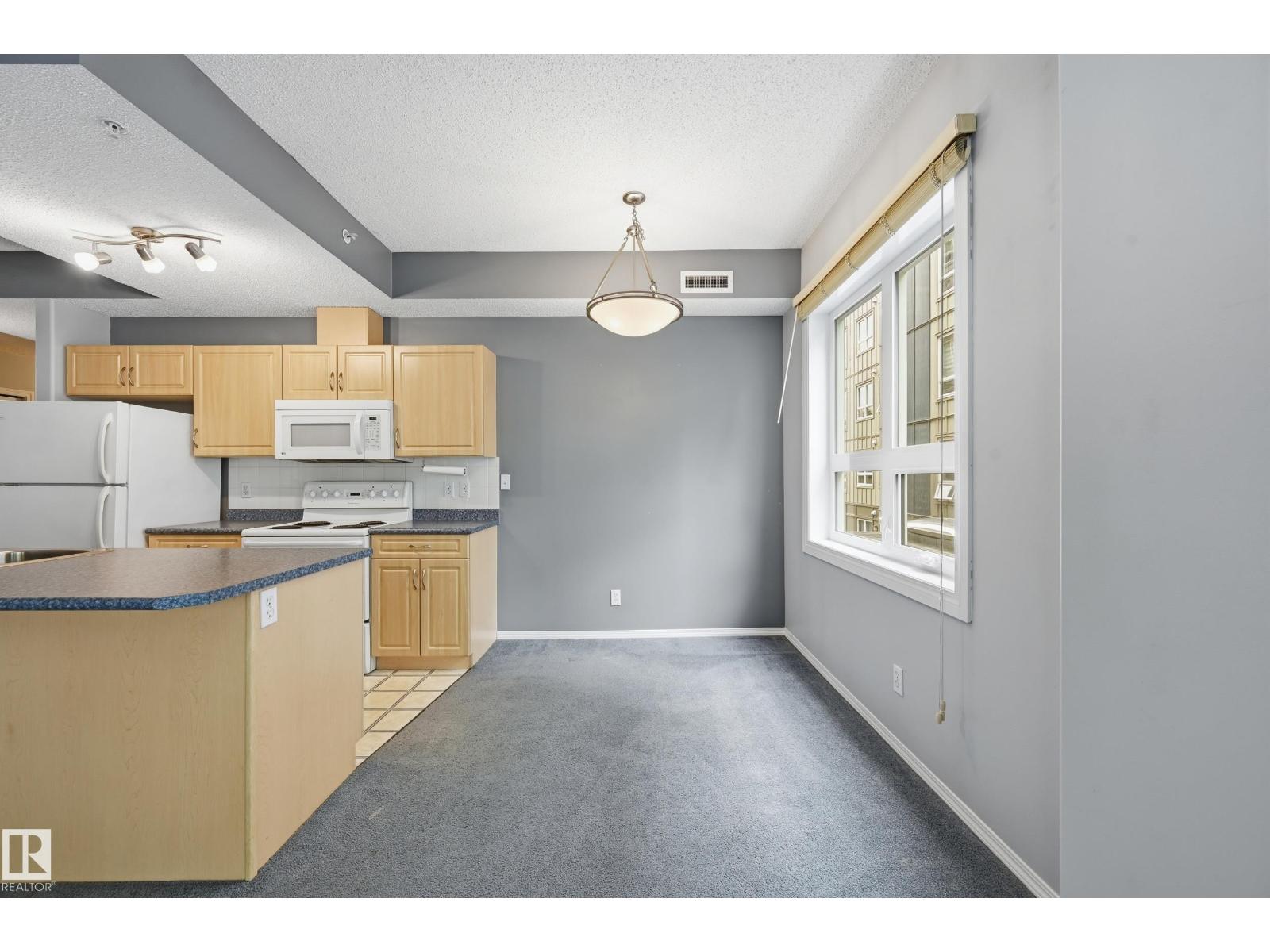 #203 11103 84 AV NW — photo 19