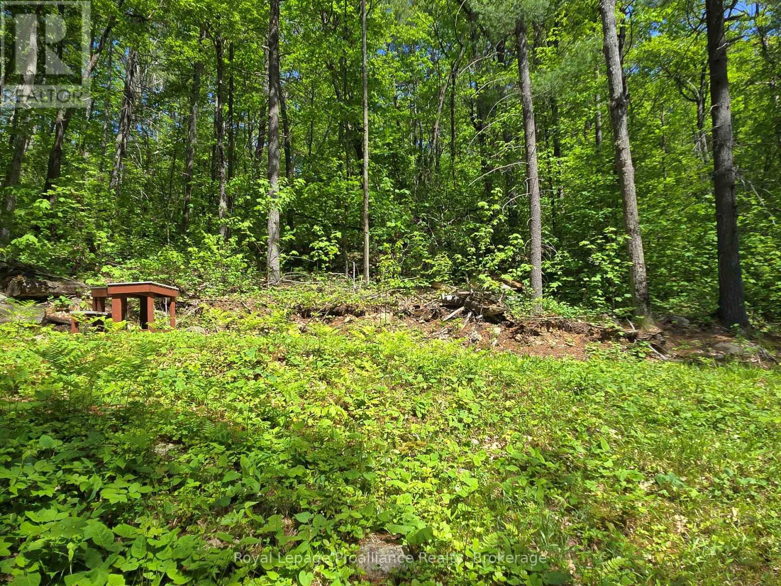 2807 MACKIE LAKE - 35