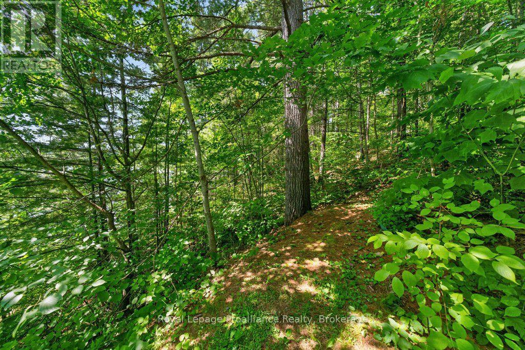 2807 MACKIE LAKE - 36