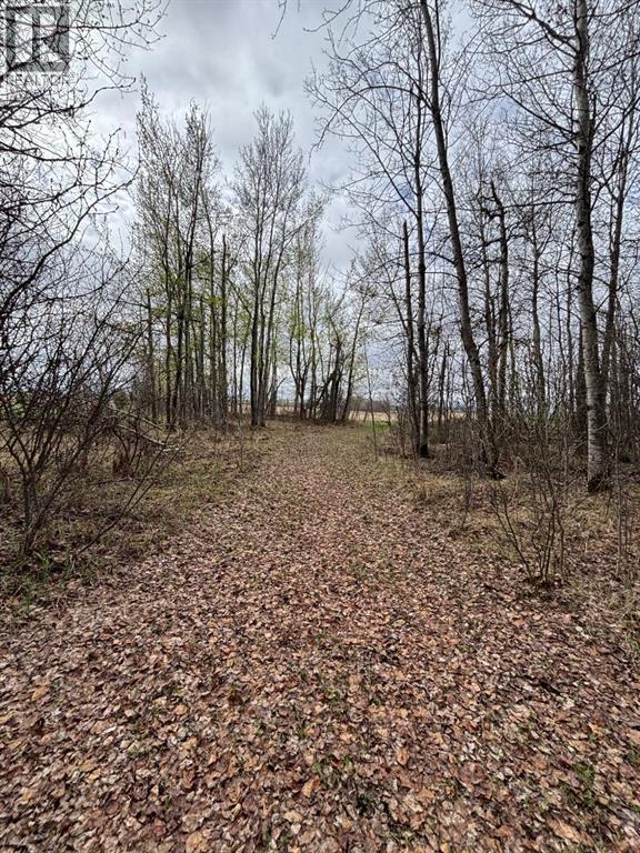 164075 Township Rd 712 - 36