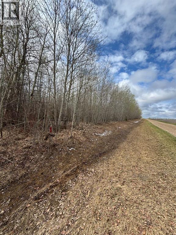 164075 Township Rd 712 - 41
