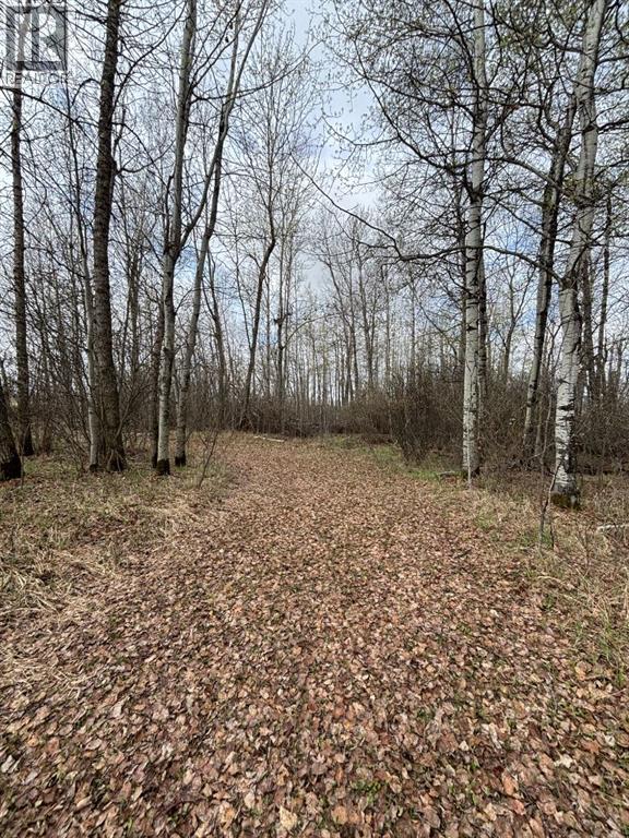 164075 Township Rd 712 - 35