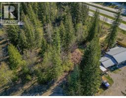 Lot 2 Bloomquist Road, Malakwa, BC V0E2J0 Photo 23