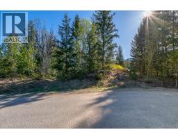 Lot 2 Bloomquist Road, Malakwa, BC V0E2J0 Photo 25