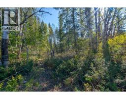 Lot 2 Bloomquist Road, Malakwa, BC V0E2J0 Photo 26