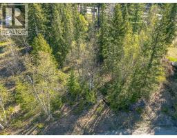Lot 2 Bloomquist Road, Malakwa, BC V0E2J0 Photo 31