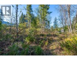 Lot 2 Bloomquist Road, Malakwa, BC V0E2J0 Photo 28