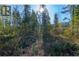 Lot 2 Bloomquist Road, Malakwa, BC V0E2J0 Photo 27