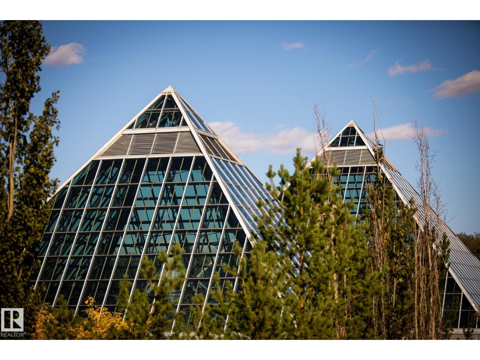 #207 9750 94 ST NW - 41