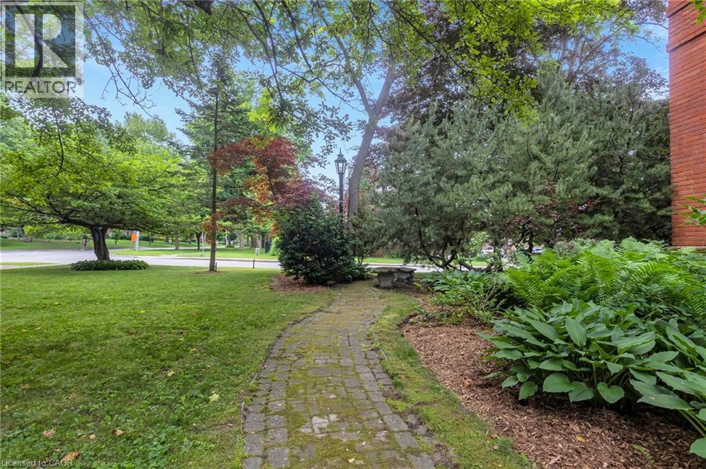 105 VANSITTART Avenue - 10