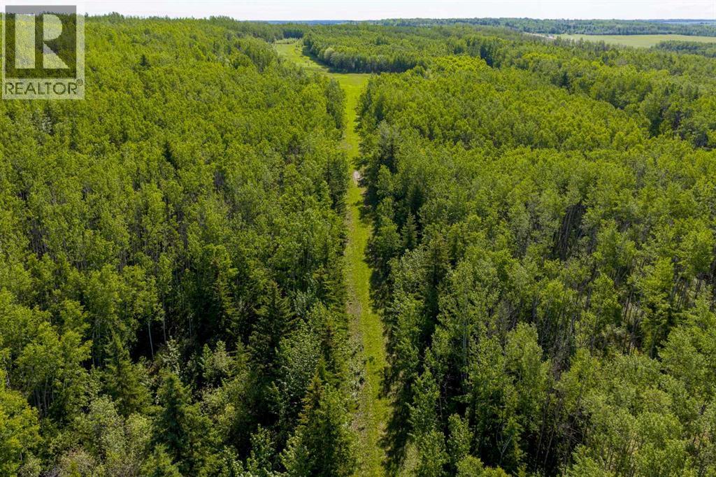 10504 794 Township - Photo 30