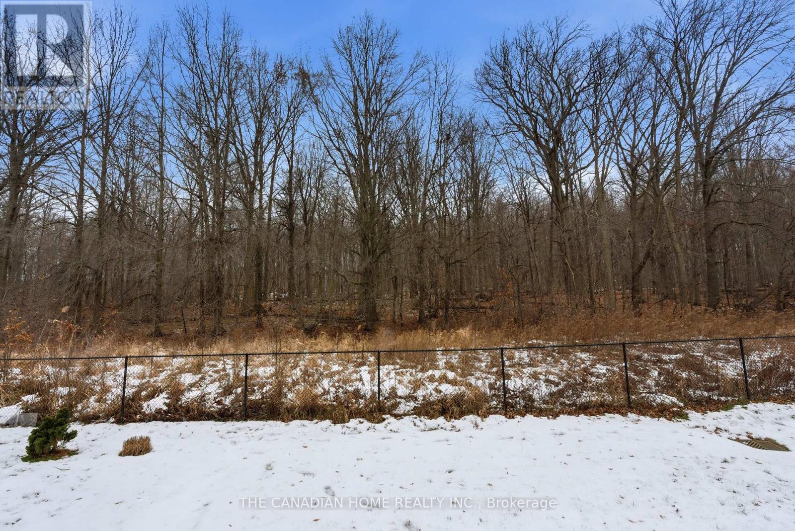 8707 CHICKORY TRAIL - 25