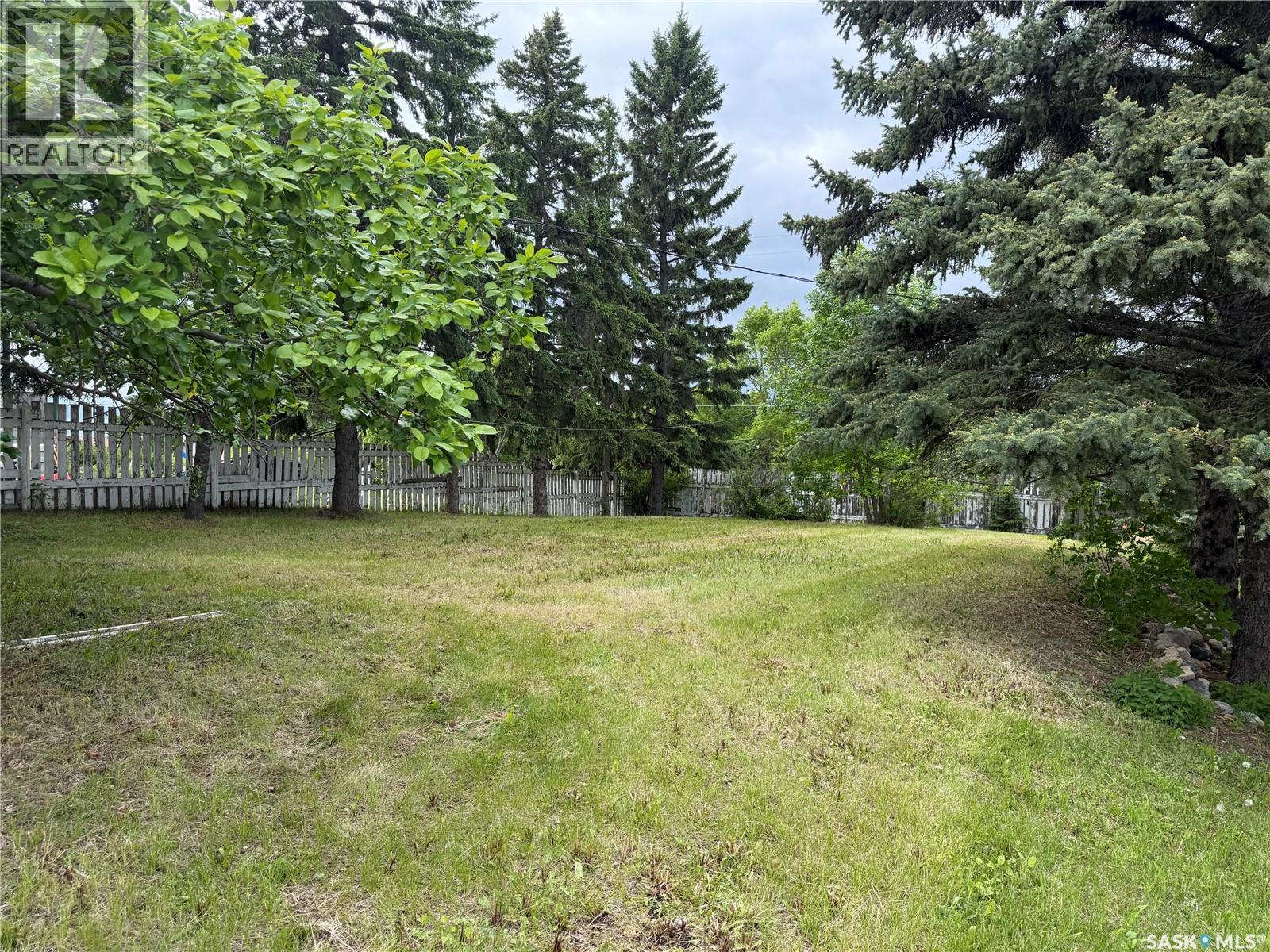 205 Pipestone AVENUE - 28