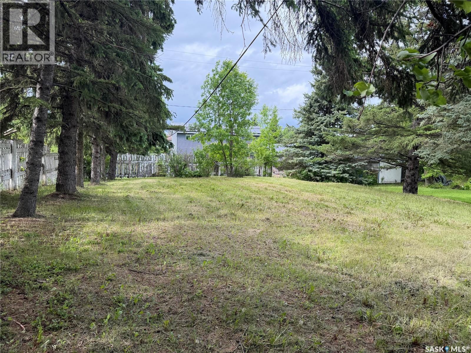 205 Pipestone AVENUE - 29