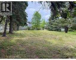 205 Pipestone Avenue, Wawota, SK S0G5A0 Photo 29