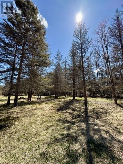 2069 Highway 17 E - 33
