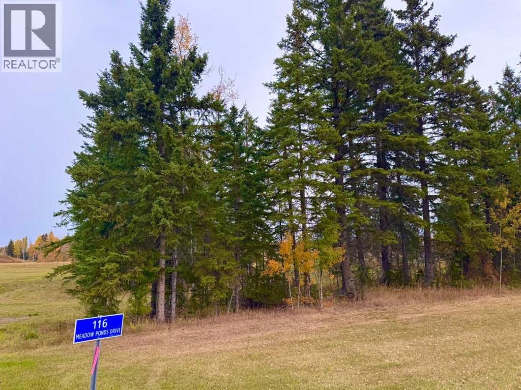 116 Meadow Ponds Drive — photo 9