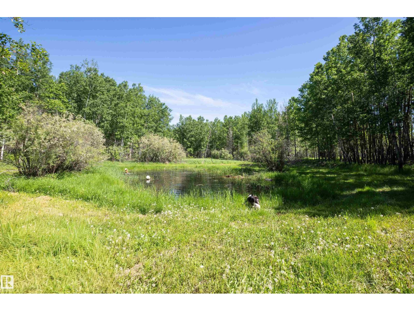 59327 RR 234 — photo 73
