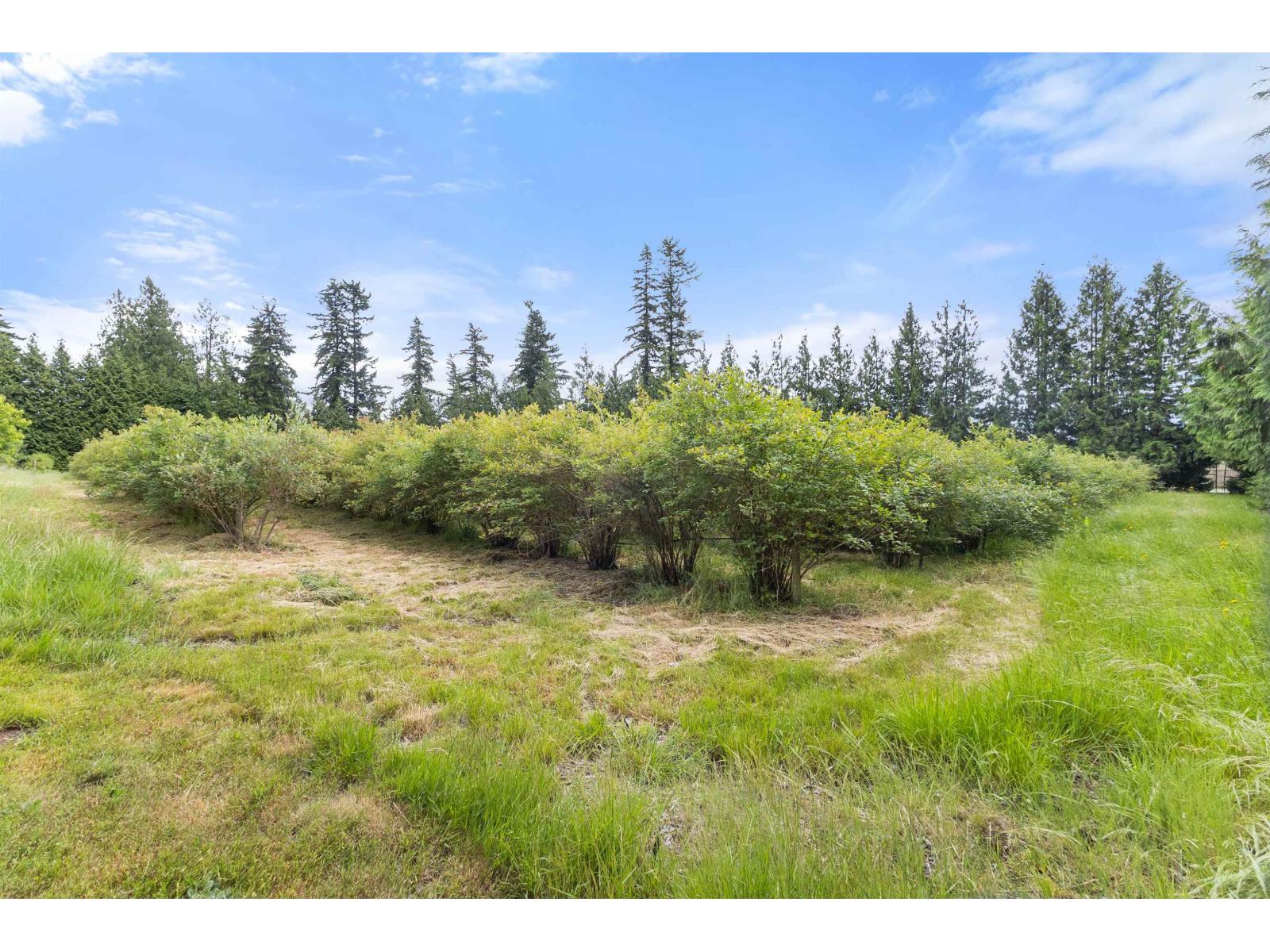 1446 TOWNLINE ROAD, Abbotsford