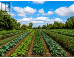 1705 2nd Concession Road W, Hamilton, ON L0R1T0 Photo 18