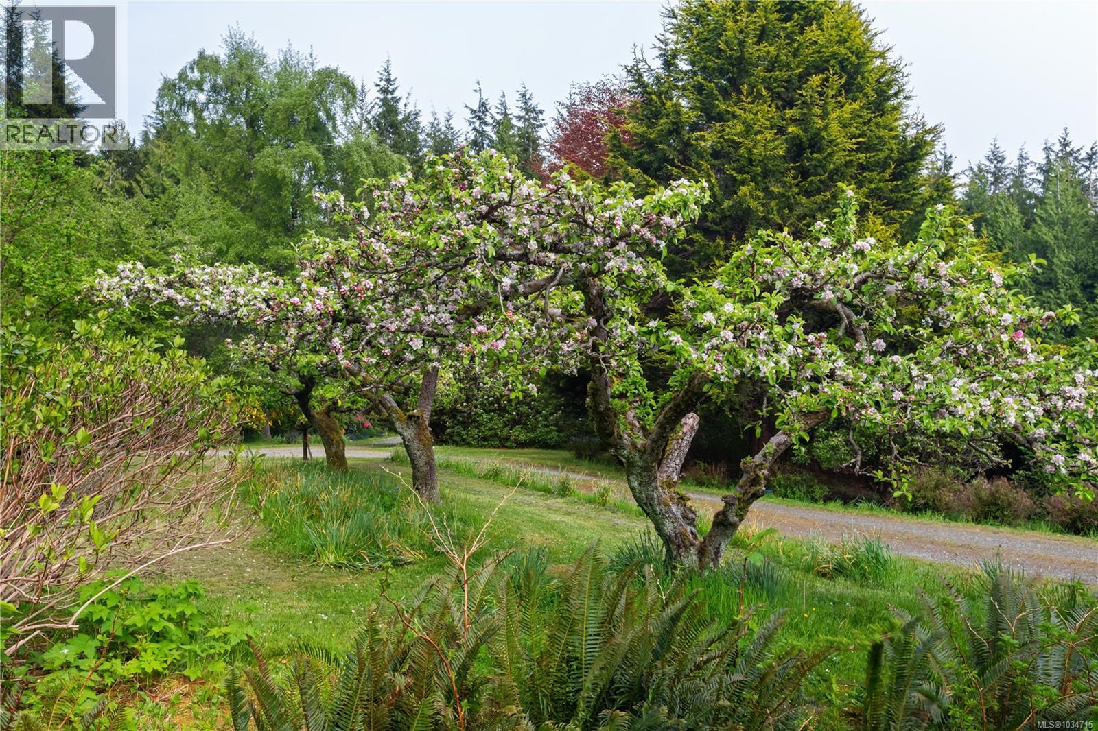 1420 Smithdale Rd - 31