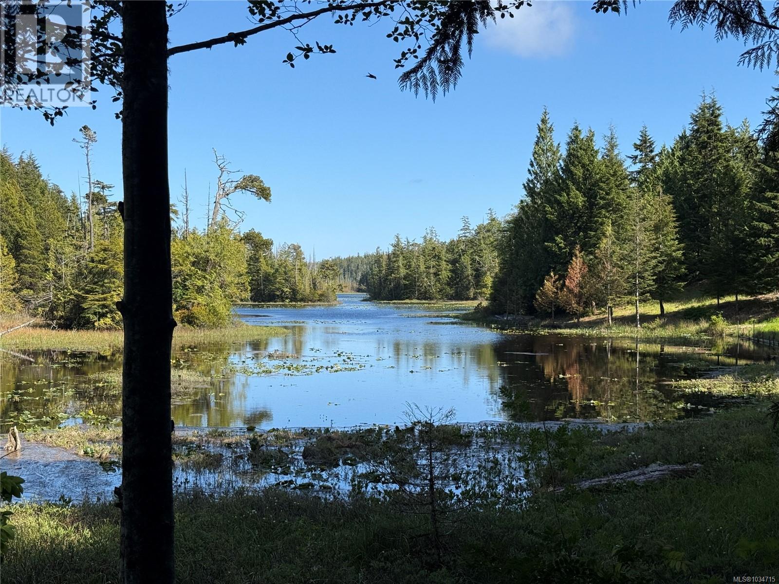 1420 Smithdale Rd - 10