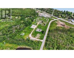 10 Toner Street, Collingwood, ON L9Y3Z7 Photo 16