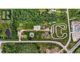 10 Toner Street, Collingwood, ON L9Y3Z7 Photo 18