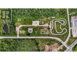 10 Toner Street, Collingwood, ON L9Y3Z7 Photo 19