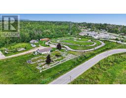 10 Toner Street, Collingwood, ON L9Y3Z7 Photo 21