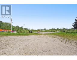 10 Toner Street, Collingwood, ON L9Y3Z7 Photo 29