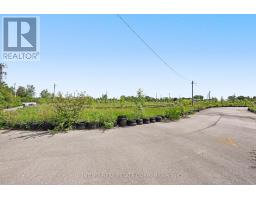 10 Toner Street, Collingwood, ON L9Y3Z7 Photo 35