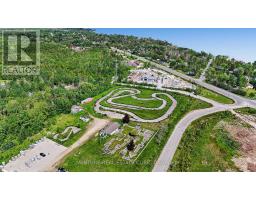 10 Toner Street, Collingwood, ON L9Y3Z7 Photo 6