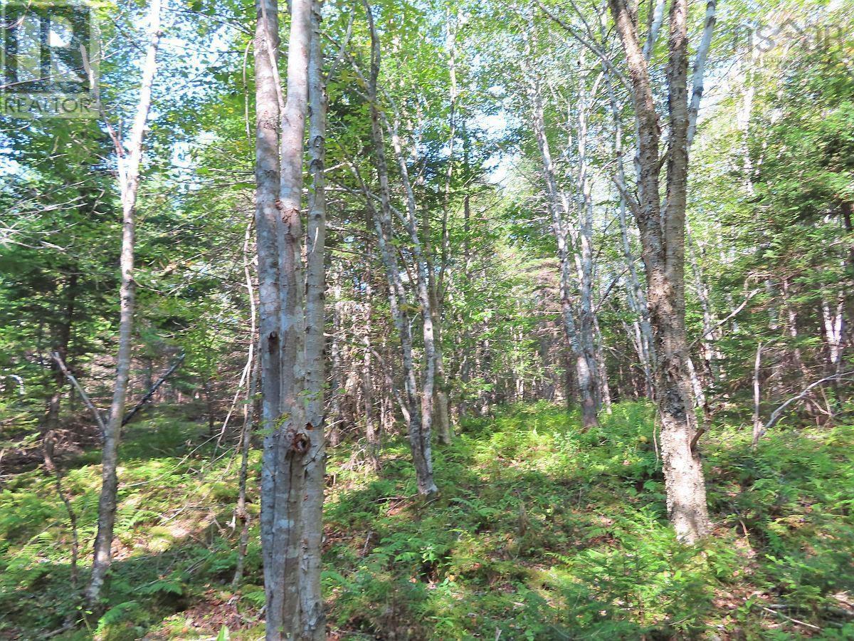 Property 16 of 32 of Lot 5 Basin Road