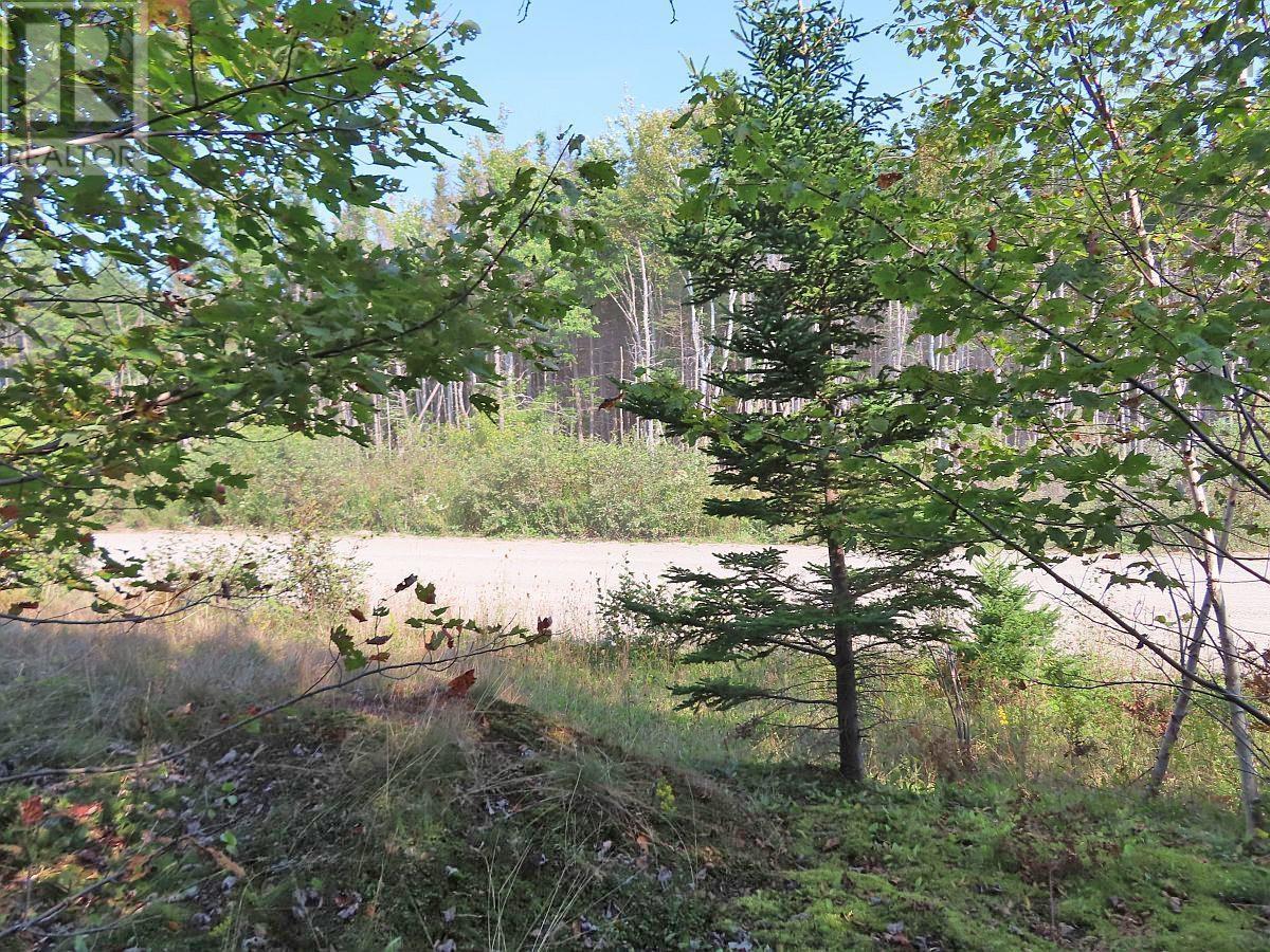 Property 21 of 32 of Lot 5 Basin Road
