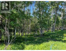 3466 218 Road, Dawson Creek, BC V1G4E8 Photo 18