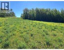 3466 218 Road, Dawson Creek, BC V1G4E8 Photo 16