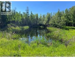 3466 218 Road, Dawson Creek, BC V1G4E8 Photo 10