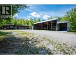 1205 Nine Mile Lake Road, Torrance, ON P0C1M0 Photo 8