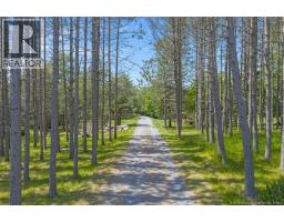267 Darlings Island Road, Darlings Island, NB E5N6S4 Photo 44