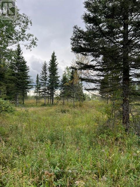 LOT 25, CON 5 KENNEDY ROAD N - 15
