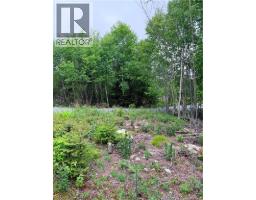 Meadow Cove Road, Musquash, NB E5J1Y5 Photo 7