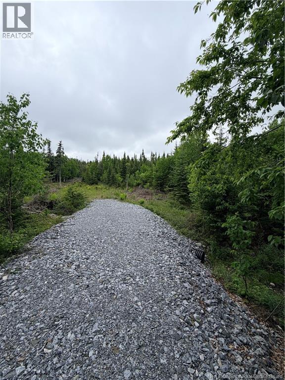 Meadow Cove Road, Musquash — photo 2
