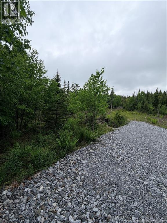 Meadow Cove Road, Musquash — photo 3