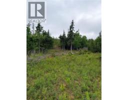 Meadow Cove Road, Musquash, NB E5J1Y5 Photo 9