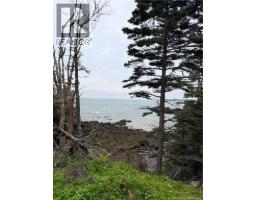 Meadow Cove Road, Musquash, NB E5J1Y5 Photo 12
